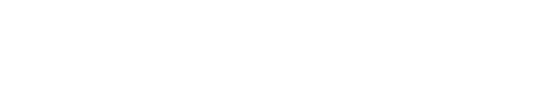 Logo White